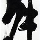 images/galeries/21/vignettes/sD4 19 18x75.jpg